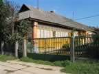 Homrogd030926 101.jpg (107kb)